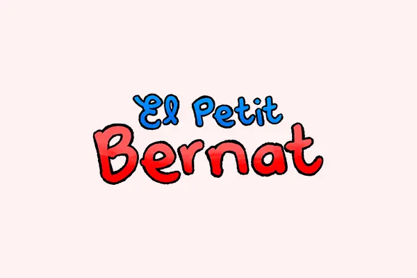 Asesoramiento, diseño web, diseño gráfico, y comunicación integral para webs solidarias - El Petit Bernat